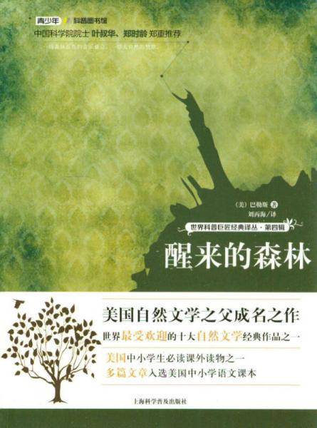 醒来的森林