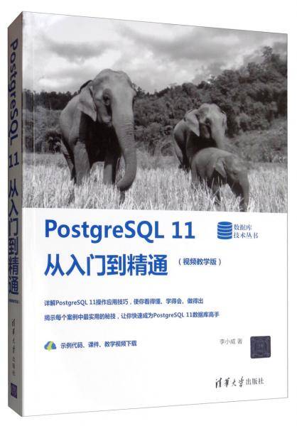 PostgreSQL 11从入门到精通(视频教学版)（数据库技术丛书）