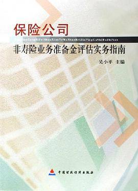 保险公司非寿险业务准备金评估实务指南