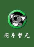 老三届朝歌,狂飙-红卫兵童话