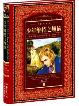 少年维特之烦恼