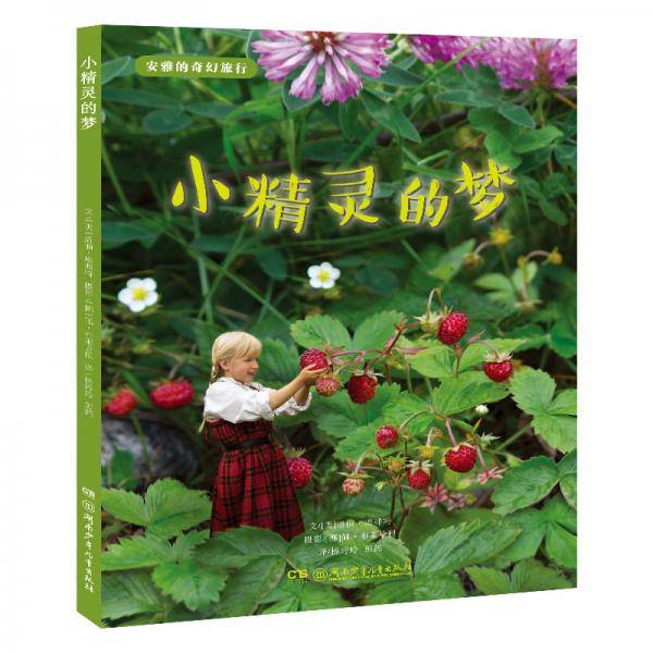 小精灵的梦