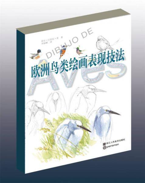 欧洲鸟类绘画表现技法
