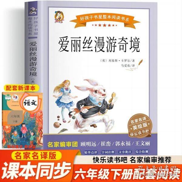爱丽丝漫游奇境 美绘版