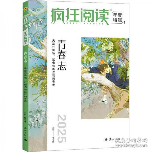疯狂阅读年度特辑1青春志（年刊）高考作文素材2025年新版天星教育