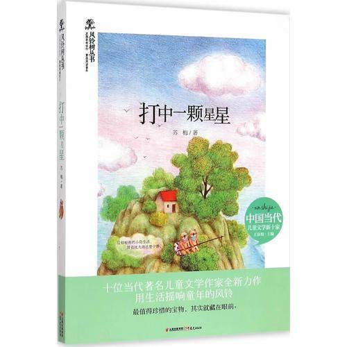 风铃树丛书：打中一颗星星
