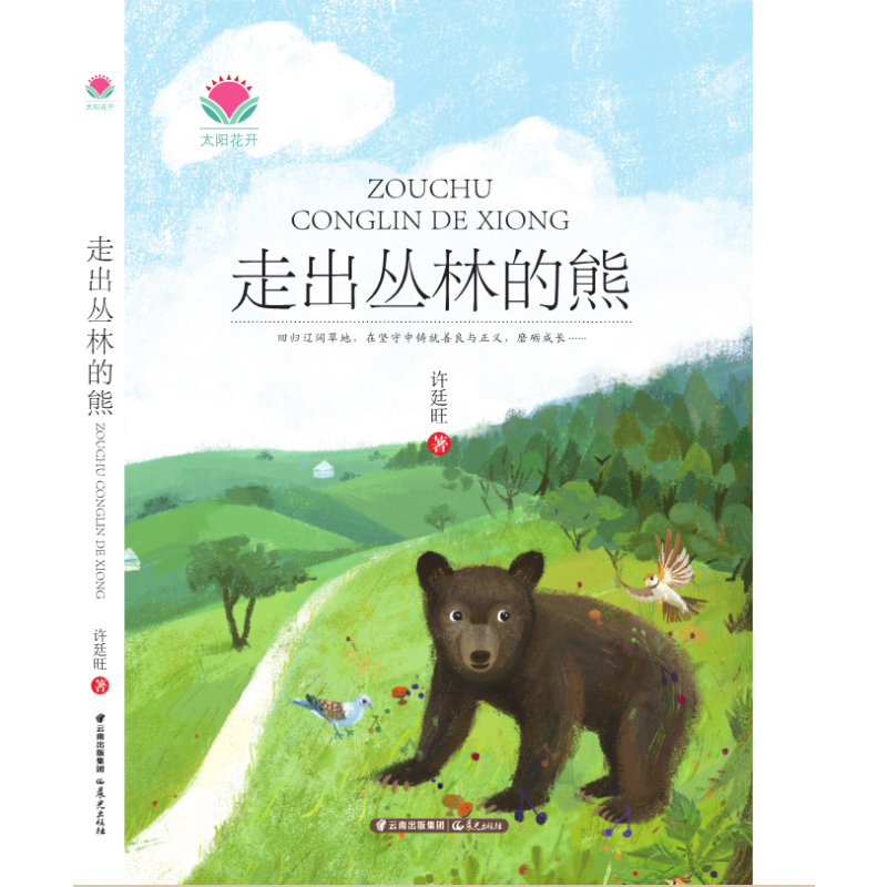 太阳花开：走出丛林的熊