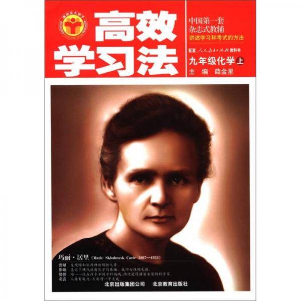 九年级化学(下)高效学习法 人教实验版