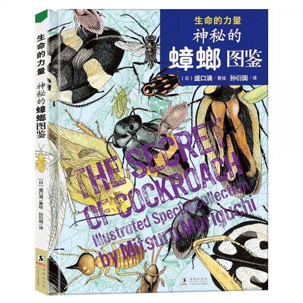生命的力量：神秘的蟑螂图鉴