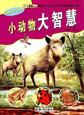 奇趣百科大揭秘--小动物大智慧（四色）