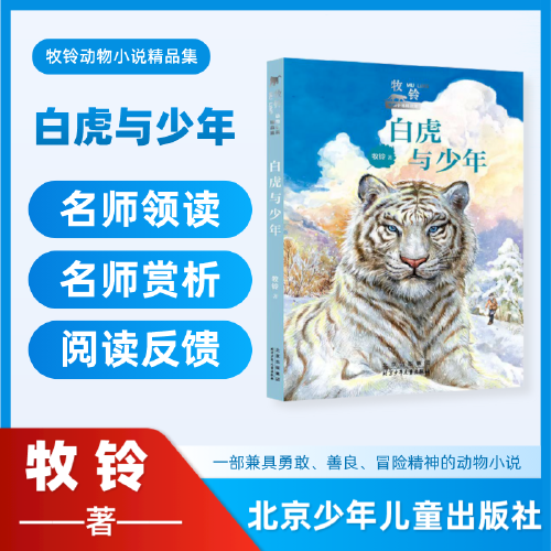 白虎与少年