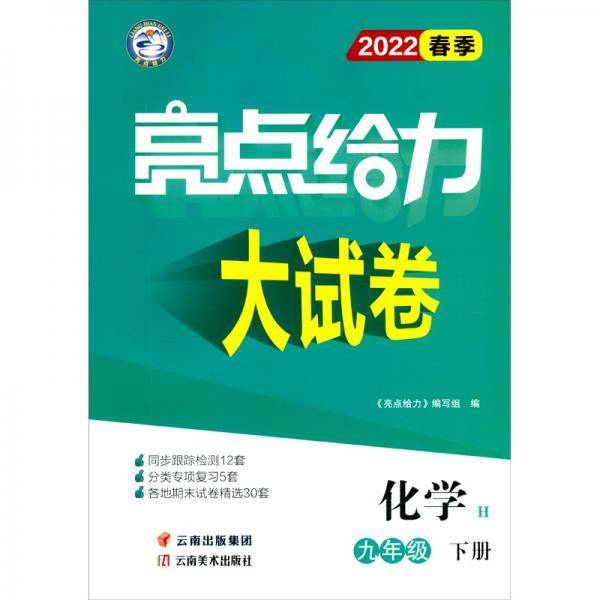 亮点给力大试卷化学9年级下册H2022