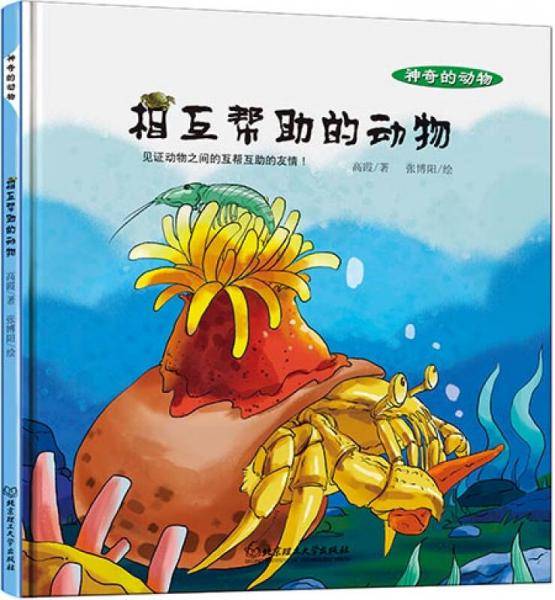 神奇的动物：相互帮助的动物