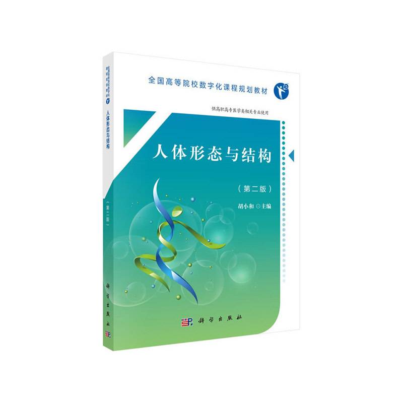 人体形态与结构