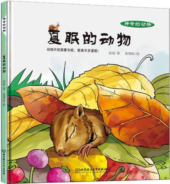 神奇的动物：夏眠的动物