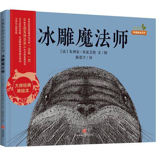 冰雕魔法师