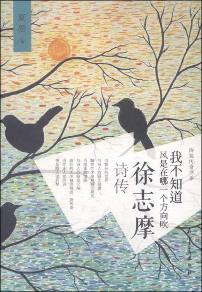 我不知道风是在哪一个方向吹――徐志摩诗传（再现新月派诗人徐志摩的传奇，解读爱与诗的谜题）