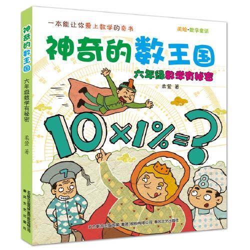 神奇的数王国：六年级数学有秘密