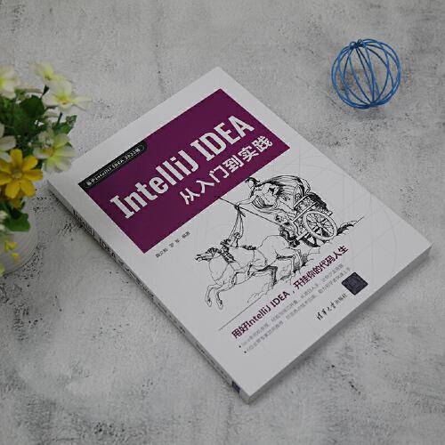 IntelliJ IDEA从入门到实践