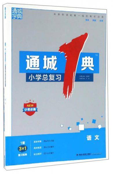通城1典 小学总复习语文