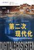 第二次现代化