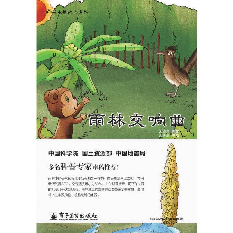 雨林交响曲（全彩）