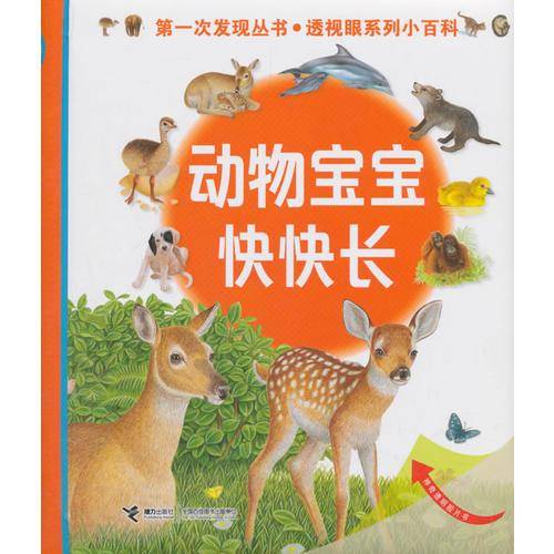 动物宝宝快快长/第一次发现丛书・透视眼系列小百科