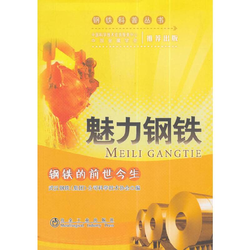 钢铁科普丛书：魅力钢铁