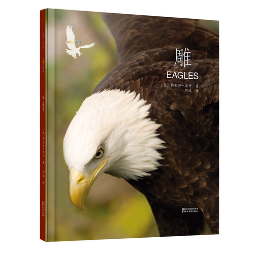 动物小百科：雕