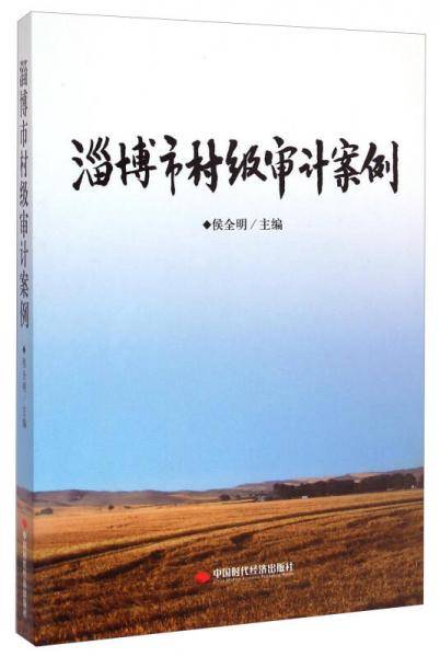 淄博市村级审计案例