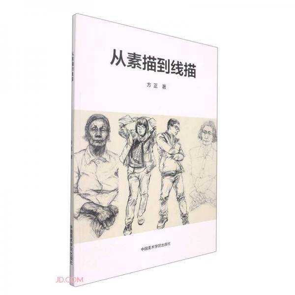 从素描到线描