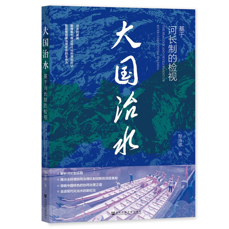大国治水：基于河长制的检视