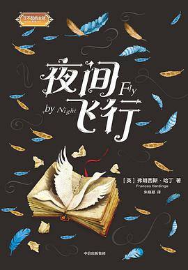夜间飞行