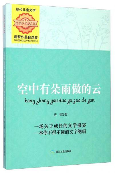 文学少年梦之队・唐哲作品自选集：空中有朵雨做的云