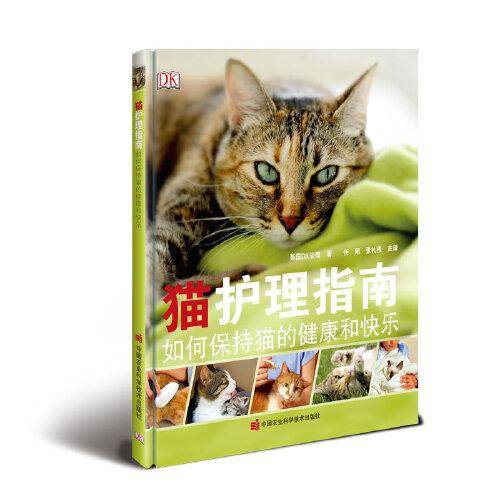 猫护理指南如何保持猫的健康和快乐
