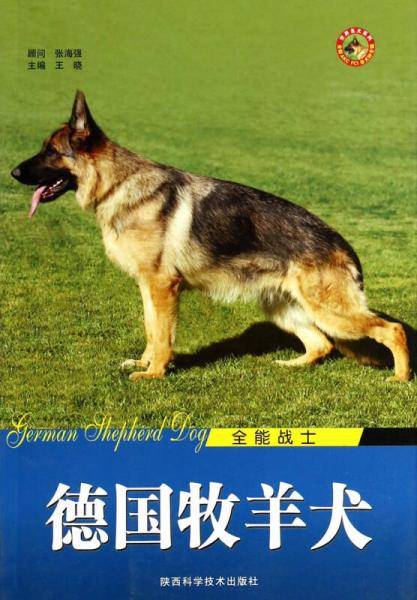 全能战士：德国牧羊犬