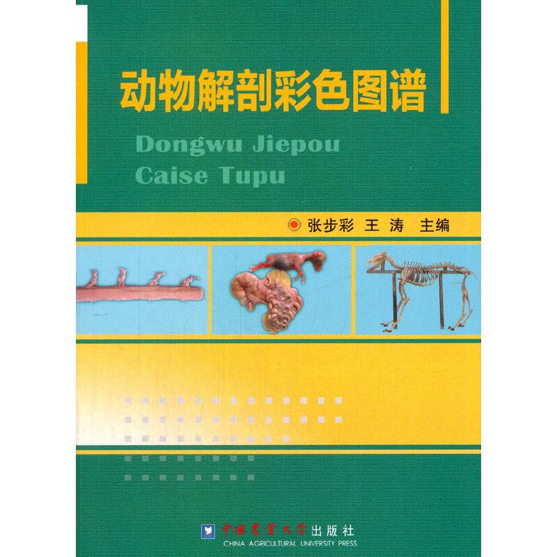动物解剖彩色图谱