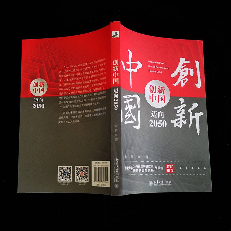 创新中国：迈向2050