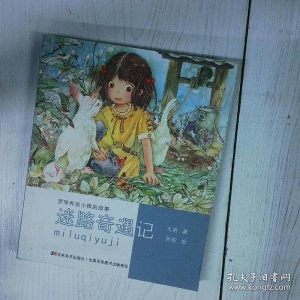 迷路奇遇记 罗迷和张小棋的故事
