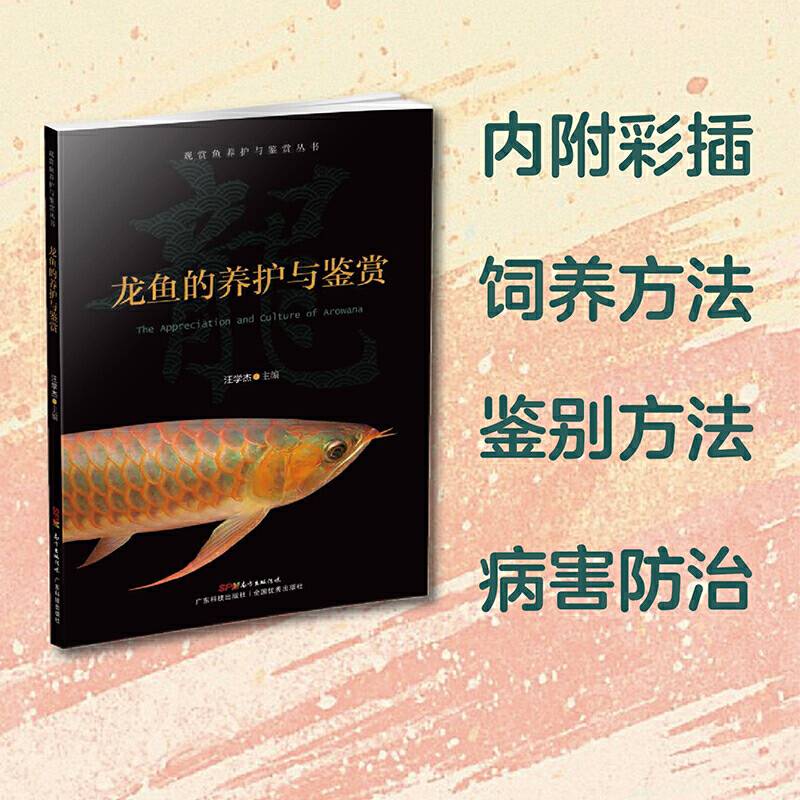 龙鱼的养护与鉴赏