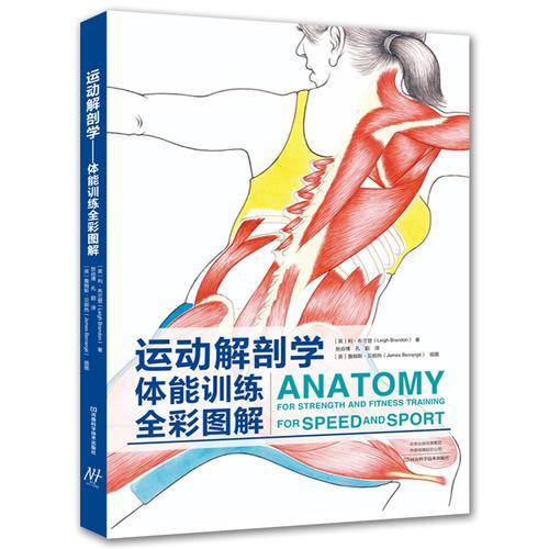 运动解剖学