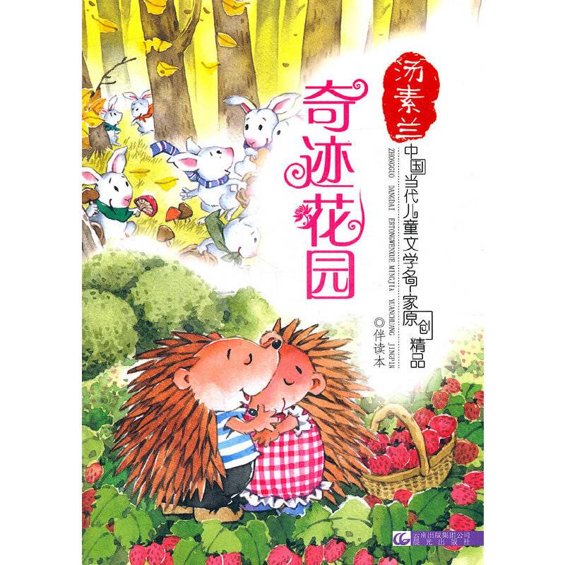 中国当代儿童文学名家原创精品伴读本——奇迹花园