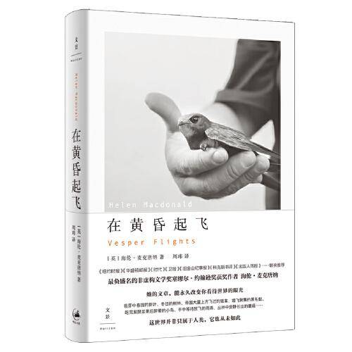 在黄昏起飞