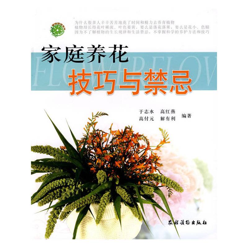 家庭养花技巧与禁忌