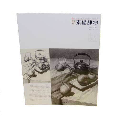 主题教学素描教学研究系列丛书陈平素描静物