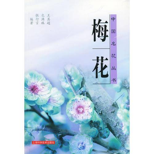 梅花