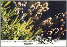 盛夏的风