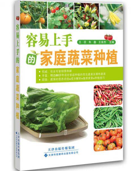 容易上手的家庭蔬菜种植