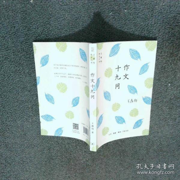 作文十九问
