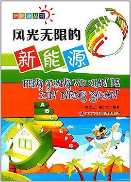 风光无限的新能源
